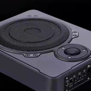 10"subwoofer      (with tweeter)